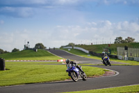 anglesey;brands-hatch;cadwell-park;croft;donington-park;enduro-digital-images;event-digital-images;eventdigitalimages;mallory;no-limits;oulton-park;peter-wileman-photography;racing-digital-images;silverstone;snetterton;trackday-digital-images;trackday-photos;vmcc-banbury-run;welsh-2-day-enduro